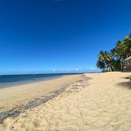 Las Terrenas Beachfront 2 Bedrooms Condo With Pool 외부 사진