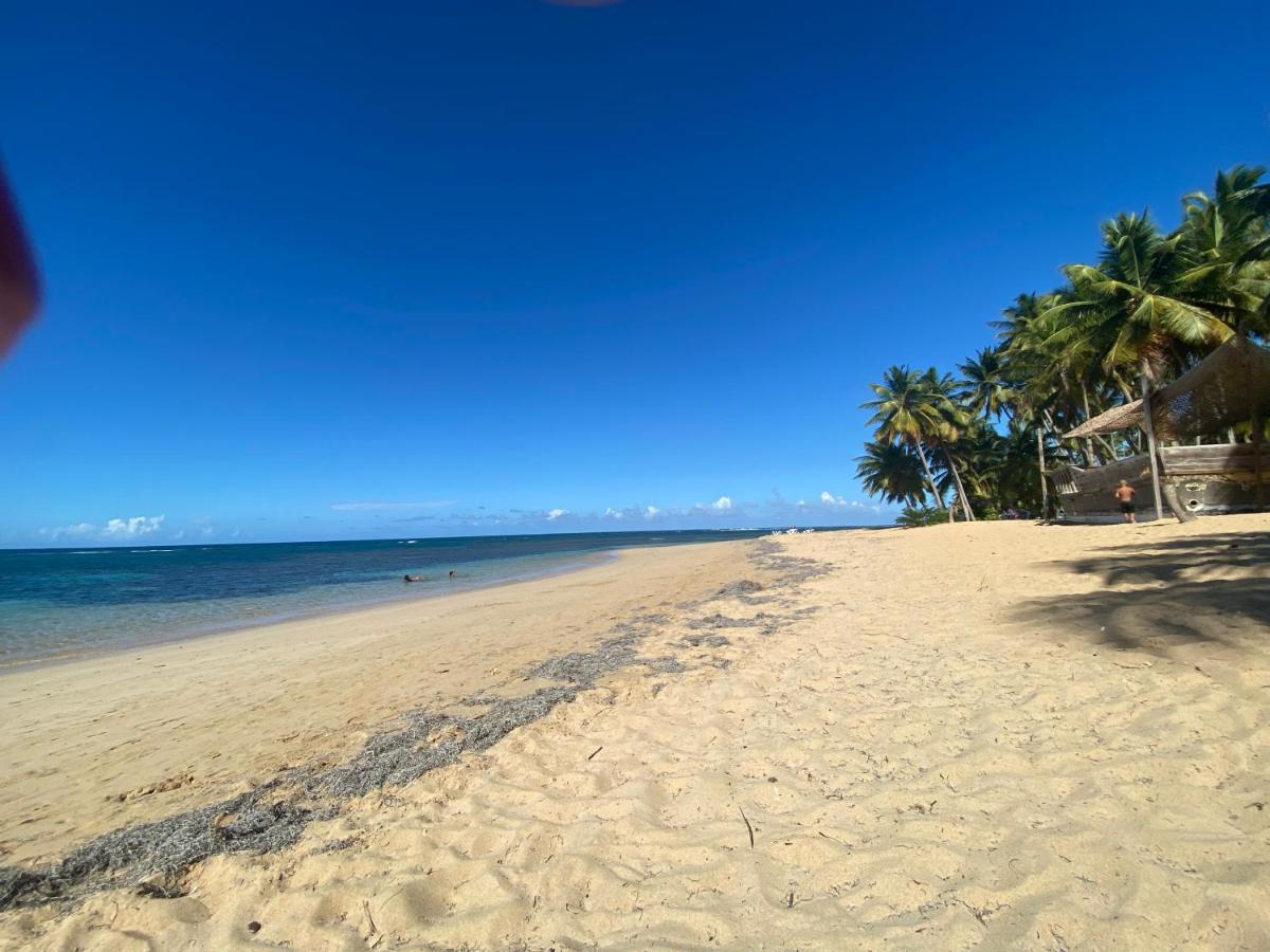 Las Terrenas Beachfront 2 Bedrooms Condo With Pool 외부 사진